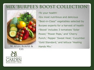 •To your health!
•Six most nutritious and delicious
“Best-in-Class” vegetables selected by
Burpee experts for a harvest of health
•„Boost‟ includes 3 tomatoes „Solar
Power,‟ „Power Pops,‟ and „Cherry
Punch,‟ Pepper „Sweat Heat,‟ Cucumber
„Gold Standard,‟ and lettuce „Healing
Hands Mix.‟
 