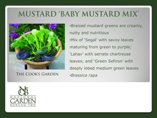 •Braised mustard greens are creamy,
nutty and nutritious
•Mix of „Segal‟ with savoy leaves
maturing from green to purple;
„Lahav‟ with serrate chartreuse
leaves; and „Green Sefiron‟ with
deeply lobed medium green leaves
•Brassica rapa
 