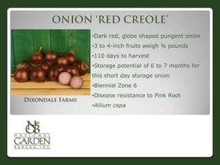•Dark red, globe shaped pungent onion
•3 to 4-inch fruits weigh ¾ pounds
•110 days to harvest
•Storage potential of 6 to 7 months for
this short day storage onion
•Biennial Zone 6
•Disease resistance to Pink Root
•Allium cepa
 