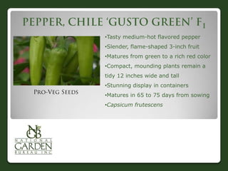 •Tasty medium-hot flavored pepper
•Slender, flame-shaped 3-inch fruit
•Matures from green to a rich red color
•Compact, mounding plants remain a
tidy 12 inches wide and tall
•Stunning display in containers
•Matures in 65 to 75 days from sowing
•Capsicum frutescens
 