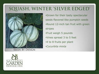 •Grown for their tasty spectacular
seeds flavored like pumpkin seeds
•Round 12-inch tan fruit with green
stripes
•Fruit weigh 5 pounds
•Vines spread 3 to 5 feet
•4 to 8 fruits per plant
•Cucurbita mixta
 