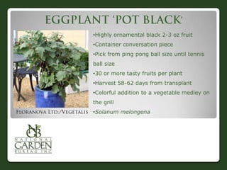 •Highly ornamental black 2-3 oz fruit
•Container conversation piece
•Pick from ping pong ball size until tennis
ball size
•30 or more tasty fruits per plant
•Harvest 58-62 days from transplant
•Colorful addition to a vegetable medley on
the grill
•Solanum melongena
 