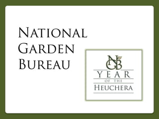 2012 National Garden Bureau Year of the Heuchera