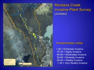 Montana Creek
Invasive Plant Survey
(Juneau)




 Invasiveness ranks
 > 80 = Extremely Invasive
 70-79 = Highly Invasive
 60-69 = Moderately Invasive
 50-59 = Modestly Invasive
 40-49 = Weakly Invasive
  < 40 = Very Weakly Invasive
 