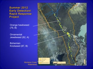 Summer 2012
Early Detection/
Rapid Response
Project


Orange hawkweed
(79, B)

Ornamental
Jewelweed (82, A)

Bohemian
Knotweed (87, B)




            Montana Creek
               Watershed
 