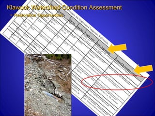 Klawock Watershed Condition Assessment
 - Restoration Opportunities
 