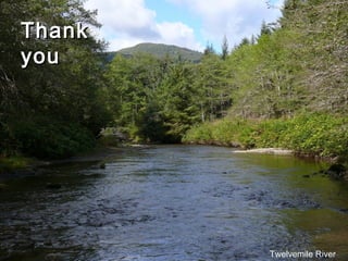 Thank
you




        Twelvemile River
 