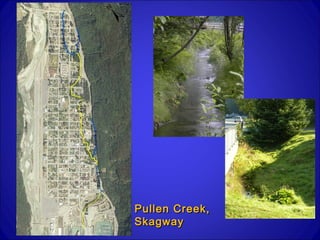 Pullen Creek,
Skagway
 