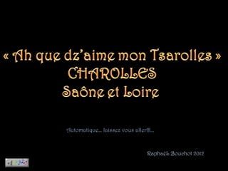 Automatique… laissez vous aller!!!...



                                  RaphaëL Bouchot 2012
 