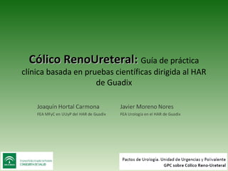 Cólico RenoUreteral: Guía de práctica
clínica basada en pruebas científicas dirigida al HAR
                     de Guadix
 