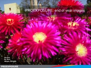 PROEXPOSURE: end of year images




Flowers
By Alem
Adigrat, Ethiopia
 