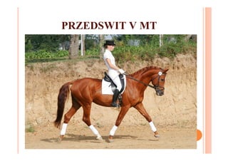 PRZEDSWIT V MT
 