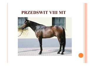 PRZEDSWIT VIII MT
 