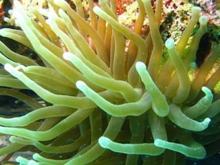 Emerging Trends in Communications