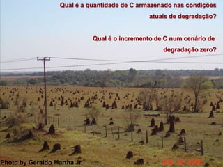 Qual é a quantidade de C armazenado nas condições
                                                atuais de degradação?


                              Qual é o incremento de C num cenário de
                                                    degradação zero?




Photo by Geraldo Martha Jr.
 