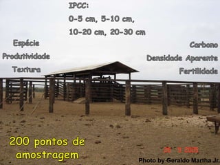 Photo by Geraldo Martha Jr.
 