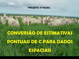 PROJETO: 3º PASSO




      CONVERSÃO DE ESTIMATIVAS
      PONTUAIS DE C PARA DADOS
                          ESPACIAIS
Photo by Geraldo Martha Jr.
 