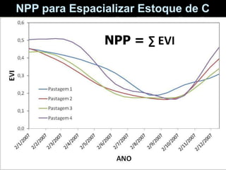 NPP para Espacializar Estoque de C

               NPP = ∑ EVI
 