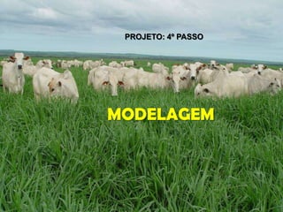 PROJETO: 4º PASSO




                              MODELAGEM




Photo by Geraldo Martha Jr.
 