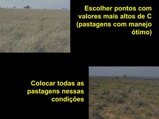 Escolher pontos com
               valores mais altos de C
              (pastagens com manejo
                                ótimo)




 Colocar todas as
pastagens nessas
       condições
 