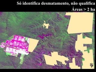 Só identifica desmatamento, não qualifica
                            Áreas > 2 ha
 