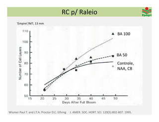 RC p/ Raleio
      ‘Empire’/M7, 13 mm


                                                                                    BA 100



                                                                                    BA 50
                                                                                    Controle, 
                                                                                    NAA, CB




Wismer Paul T. and J.T.A. Proctor D.C. Elfving   J. AMER. SOC. HORT. SCI. 120(5):802‐807. 1995. 
 