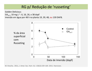 RG p/ Redução de ‘russeting’ 
Golden Delicious:
GA4+7, 10 mg.L‐1 : 6, 16, 26, e 38 dapf
Imersão em água por 48 h na planta 19, 39, 48, ou 139 DAFB. 




           % da área 
           superficial 
           com
           Russeting




                                                      Data de Imersão (dapf)
M. Knoche,  2011, J. Amer. Soc. Hort. Sci. 136(3):159–164. 2011. Hannover,
 