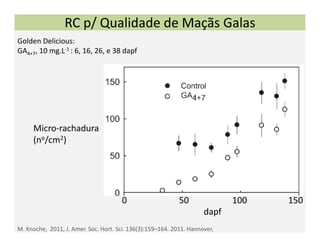 RC p/ Qualidade de Maçãs Galas
Golden Delicious:
GA4+7, 10 mg.L‐1 : 6, 16, 26, e 38 dapf




     Micro‐rachadura
     (no/cm2) 




                                       0                        50                    100                   150  
                                                                         dapf
M. Knoche,  2011, J. Amer. Soc. Hort. Sci. 136(3):159–164. 2011. Hannover,
 