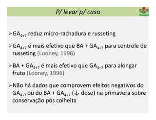 P/ levar p/ casa


GA4+7 reduz micro‐rachadura e russeting

GA4+7 é mais efetivo que BA + GA4+7 para controle de 
 russeting (Looney, 1996)
BA + GA4+7 é mais efetivo que GA4+7 para alongar 
 fruto (Looney, 1996)
Não há dados que comprovem efeitos negativos do 
 GA4+7 ou do BA + GA4+7 (↓ dose) na primavera sobre 
 conservação pós colheita 
 