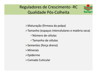 Reguladores de Crescimento ‐RC 
    Qualidade Pós‐Colheita

   Maturação (firmeza da polpa)
   Tamanho (espaços intercelulares e matéria seca)
      Número de células
      Tamanho de células
   Sementes (força dreno)
   Minerais
   Epiderme
   Camada Cuticular
 