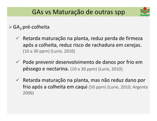 GAs vs Maturação de outras spp

 GA3 pré‐colheita 

    Retarda maturação na planta, reduz perda de firmeza 
      após a colheita, reduz risco de rachadura em cerejas. 
      (10 a 30 ppm) (Lurie, 2010)

    Pode prevenir desenvolvimento de danos por frio em 
     pêssego e nectarina. (10 a 30 ppm) (Lurie, 2010).

    Retarda maturação na planta, mas não reduz dano por 
     frio após a colheita em caqui (50 ppm) (Lurie, 2010; Argenta 
     2006)
 