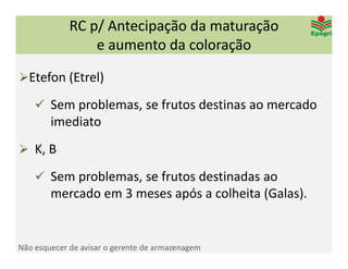 RC p/ Antecipação da maturação 
                 e aumento da coloração

Etefon (Etrel)

     Sem problemas, se frutos destinas ao mercado 
        imediato
 K, B

     Sem problemas, se frutos destinadas ao 
        mercado em 3 meses após a colheita (Galas).


Não esquecer de avisar o gerente de armazenagem
 