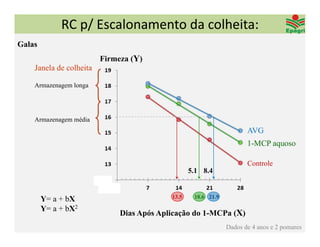 RC p/ Escalonamento da colheita:
Galas
                         Firmeza (Y)
    Janela de colheita

    Armazenagem longa




    Armazenagem média
                                                                      AVG
                                                                      1-MCP aquoso

                                                                      Controle
                                                  5.1 8.4


        Y= a + bX                          13.5    18.6 21.9

        Y= a + bX2
                              Dias Após Aplicação do 1-MCPa (X)
                                                               Dados de 4 anos e 2 pomares
 