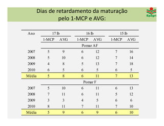 Dias de retardamento da maturação 
                 pelo 1‐MCP e AVG:

Ano             17 lb              16 lb              15 lb
          1-MCP     AVG      1-MCP     AVG      1-MCP     AVG
                               Pomar AF
2007        5           9      6           12     7           16
2008        5           10     6           12     7           14
2009        4           8      5           13     7           18
2010        6           5      6           5      6           5
Média       5           8      6           11     7           13
                               Pomar F
2007        5           10     6           11     6           13
2008        7           11     6           11     5           12
2009        3           3      4           5      6           6
2010        8           11     7           11     7           10
Média       5           9      6           9      6           10
 
