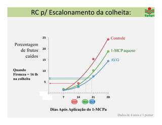 RC p/ Escalonamento da colheita:


                                                  Controle
Porcentagem
    de frutos                                     1-MCP aquoso
      caídos
                                                  AVG

Quando
Firmeza = 16 lb
na colheita




                             13.5   18.6 21.9

                  Dias Após Aplicação do 1-MCPa
                                                     Dados de 4 anos e 1 pomar
 