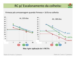 RC p/ Escalonamento da colheita:
  Firmeza pós armazenagem quando Firmeza = 16 lb na colheita

                       Ar, 120 dias                             AC, 180 dias




                                                                                        AVG

                                                                                       1-MCPa
                                                                                       Controle

                    13.5      18.6 21.9                       13.5     18.6 21.9

                              Dias Após Aplicação do 1-MCPa


Dados de 4 anos e 2 pomares                                          Dados de 2 anos e 2 pomares
 