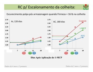 RC p/ Escalonamento da colheita:
  Escurecimento polpa pós armazenagem quando Firmeza = 16 lb na colheita

       Ar, 120 dias                                 AC, 180 dias                     Controle


                                                                                     1-MCP


                                                                                      AVG




                      13.5    18.6 21.9                        13.5      18.6 21.9

                                Dias Após Aplicação do 1-MCP


Dados de 4 anos e 2 pomares                                        Dados de 2 anos e 2 pomares
 