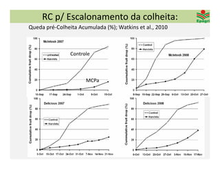 RC p/ Escalonamento da colheita:
Queda pré‐Colheita Acumulada (%); Watkins et al., 2010



                Controle



                      MCPa
 
