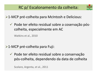 RC p/ Escalonamento da colheita:

1‐MCP pré‐colheita para McIntosh e Delicious:

   Pode ter efeito residual sobre a coservação pós‐
     colheita, especialmente em AC
     Watkins et al., 2010


1‐MCP pré‐colheita para Fuji:

   Pode ter efeito residual sobre a conservação 
     pós‐colheita, dependendo da data de colheita
     Scolaro, Argenta, et al., 2011
 