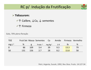 RC p/  Indução da Frutificação
       Tidiazurom:

           ↑ Calibre, ↓Ca, ↓ sementes
           ↑ Firmeza

Gala, 70% plena floração


  TDZ         Fruit Set Massa Sementes        Ca      Amido      Firmeza  Vermelho
  mg.L‐1          %         g    Fruto ‐1   mg Kg‐1     1‐9         lb          %
  0               86       109    3.4         39        9.3        13.3         79
  50             131       156    2.7         28        8.2        15.8         58




                                  Petri, Argenta, Suzuki, 1992, Rev. Bras. Frutic. 14:127‐34
 