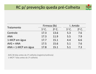 RC p/ prevenção queda pré‐Colheita



                                       Firmeza (lb)       I. Amido
Tratamento
                                      1a C.    2a C.   1a C.     2a C.
Controle                              17.3     13.6     5.3       7.6
ANA                                   17.3     11.9     5.5       7.9
1‐MCP em água                         17.7     15.1     4.4       6.6
AVG + ANA                             17.5     15.6     5.1       7.6
ANA + 1‐MCP em água                   17.8     15.1     5.1       7.3

AVG 30 dias antes da 1ª colheita (registro/carência)
1‐MCP 7 dias antes da 1ª colheita
 