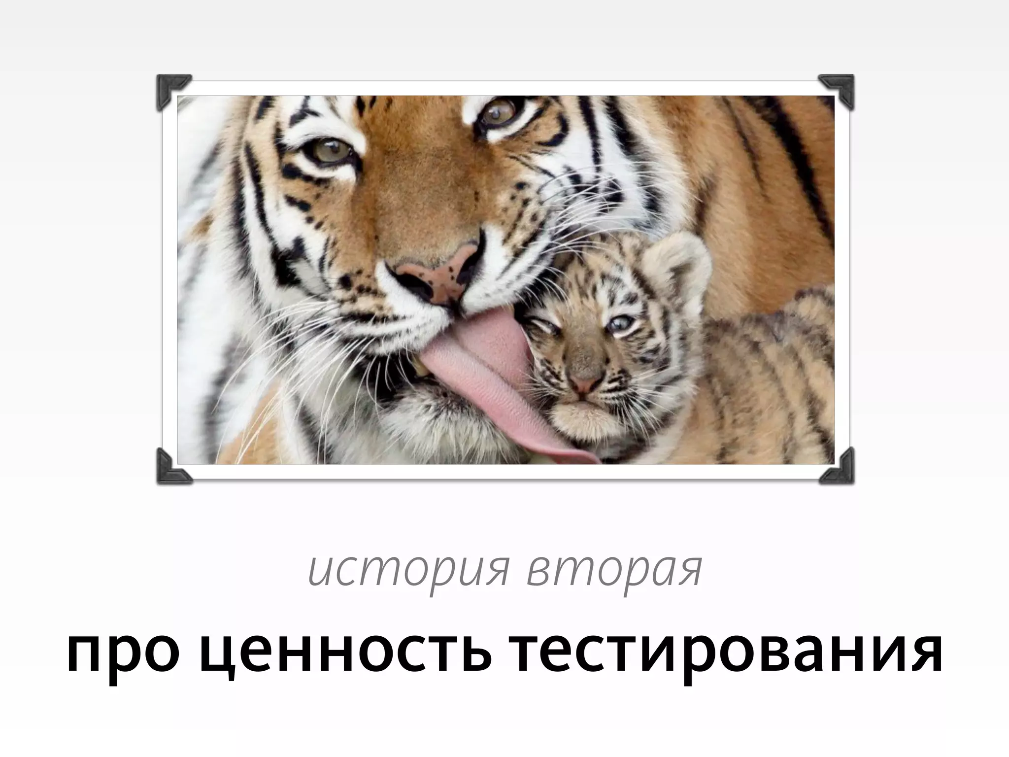 Slide 54