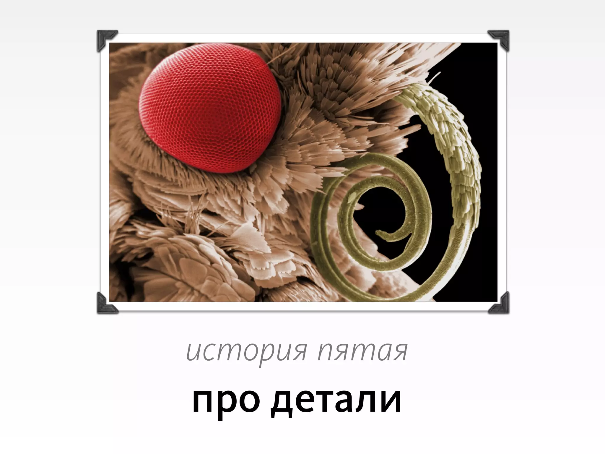 Slide 66