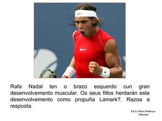 Rafa Nadal ten o brazo esquerdo cun gran
desenvolvemento muscular. Os seus fillos herdarán este
desenvolvemento como propuña Lamark?. Razoa a
resposta.
                                              I.E.S. Otero Pedrayo.
                                                     Ourense
 