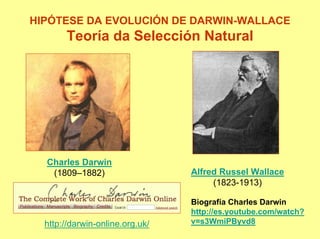 HIPÓTESE DA EVOLUCIÓN DE DARWIN-WALLACE
       Teoría da Selección Natural




  Charles Darwin
   (1809–1882)                   Alfred Russel Wallace
                                      (1823-1913)

                                 Biografía Charles Darwin
                                 http://es.youtube.com/watch?
  http://darwin-online.org.uk/   v=s3WmiPByvd8
 