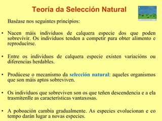 Teoría da Selección Natural
  Baséase nos seguintes principios:

• Nacen máis individuos de calquera especie dos que poden
  sobrevivir. Os individuos tenden a competir para obter alimento e
  reproducirse.

• Entre os individuos de calquera especie existen variacións ou
  diferencias herdables.

• Prodúcese o mecanismo da selección natural: aqueles organismos
  que son máis aptos sobreviven.

• Os individuos que sobreviven son os que teñen descendencia e a ela
  trasmítenlle as características vantaxosas.

• A poboación cambia gradualmente. As especies evolucionan e co
  tempo darán lugar a novas especies.
 