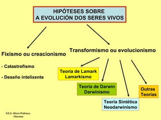 HIPÓTESES SOBRE
                          A EVOLUCIÓN DOS SERES VIVOS




                                     Transformismo ou evolucionismo
Fixismo ou creacionismo

- Catastrofismo
                                 Teoría de Lamark
- Deseño intelixente               Lamarkismo

                                         Teoría de Darwin
                                                                       Outras
                                           Darwinismo
                                                                       Teorías
                                                    Teoría Sintética
                                                    Neodarwinismo
  I.E.S. Otero Pedrayo.
         Ourense
 