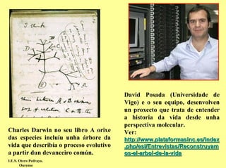 David Posada (Universidade de
                                         Vigo) e o seu equipo, desenvolven
                                         un proxecto que trata de entender
                                         a historia da vida desde unha
                                         perspectiva molecular.
Charles Darwin no seu libro A orixe      Ver:
das especies incluíu unha árbore da      http://www.plataformasinc.es/index
vida que describía o proceso evolutivo   .php/esl/Entrevistas/Reconstruyam
a partir dun devanceiro común.           os-el-arbol-de-la-vida
I.E.S. Otero Pedrayo.
       Ourense
 