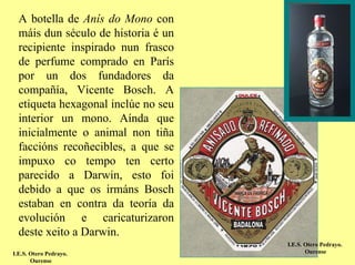 A botella de Anís do Mono con
  máis dun século de historia é un
  recipiente inspirado nun frasco
  de perfume comprado en París
  por un dos fundadores da
  compañía, Vicente Bosch. A
  etiqueta hexagonal inclúe no seu
  interior un mono. Aínda que
  inicialmente o animal non tiña
  faccións recoñecibles, a que se
  impuxo co tempo ten certo
  parecido a Darwin, esto foi
  debido a que os irmáns Bosch
  estaban en contra da teoría da
  evolución e caricaturizaron
  deste xeito a Darwin.
                                     I.E.S. Otero Pedrayo.
I.E.S. Otero Pedrayo.                       Ourense
       Ourense
 