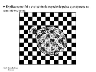 Explica como foi a evolución da especie de peixe que aparece no
seguinte esquema:




I.E.S. Otero Pedrayo.
       Ourense
 